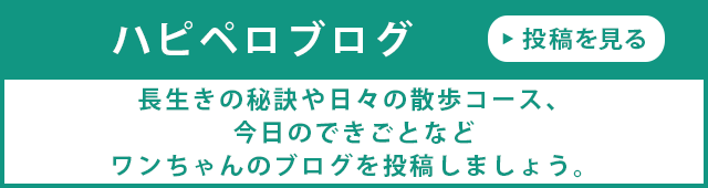 ハピペロブログ