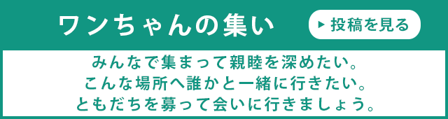 ワンちゃんの集い